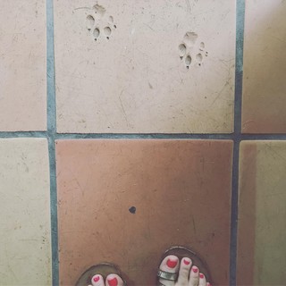 Genevieve Gorder feet photo thumbnail