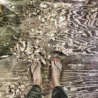 Genevieve Gorder feet photo thumbnail