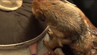 Geo Antoinette feet photo thumbnail