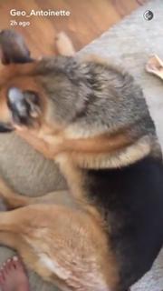 Geo Antoinette feet photo thumbnail