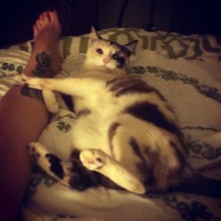 Georgia Hardstark feet photo 8