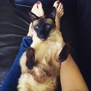 Georgia Hardstark feet photo 19
