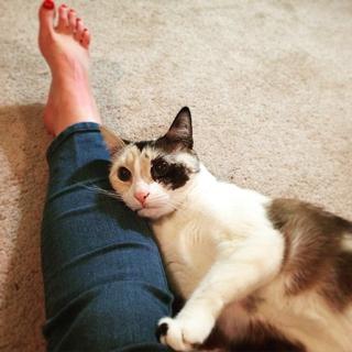 Georgia Hardstark feet photo 15