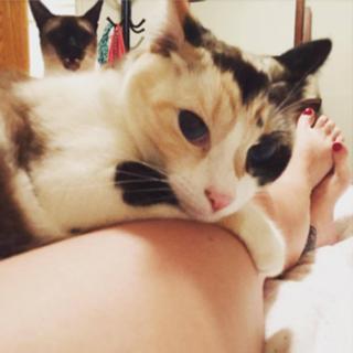 Georgia Hardstark feet photo 9