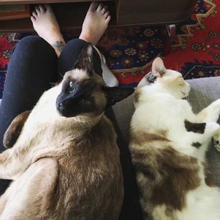 Georgia Hardstark feet photo 10