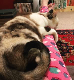 Georgia Hardstark feet photo 7
