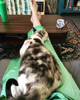 Georgia Hardstark feet photo 16