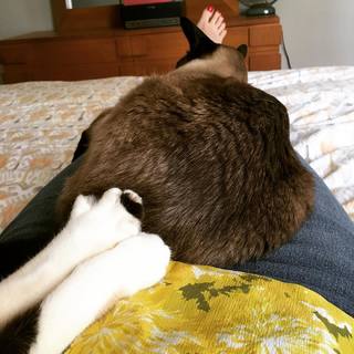 Georgia Hardstark feet photo 14