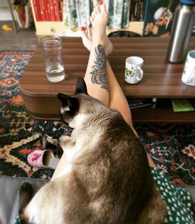 Georgia Hardstark feet photo 9