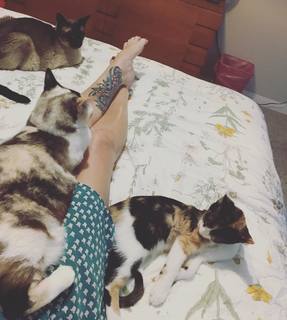 Georgia Hardstark feet photo 6