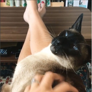 Georgia Hardstark feet photo 1