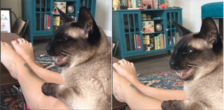 Georgia Hardstark feet photo 20