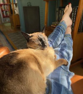 Georgia Hardstark feet photo 12