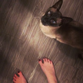 Georgia Hardstark feet photo 9