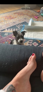 Georgia Hardstark feet photo 19