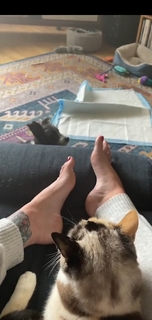 Georgia Hardstark feet photo 18