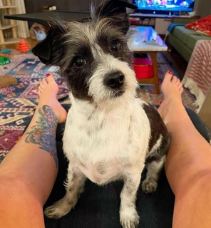 Georgia Hardstark feet photo 16
