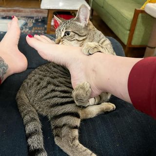 Georgia Hardstark feet photo 13