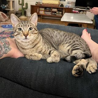Georgia Hardstark feet photo 12