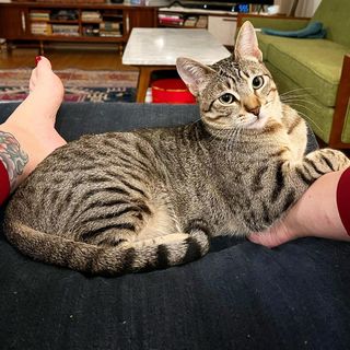 Georgia Hardstark feet photo 11
