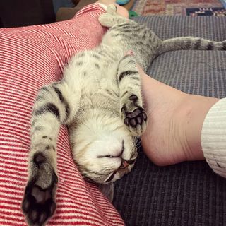 Georgia Hardstark feet photo 10