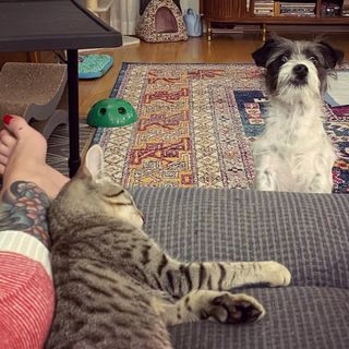 Georgia Hardstark feet photo 9