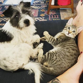 Georgia Hardstark feet photo 6