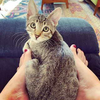 Georgia Hardstark feet photo 5