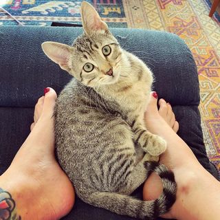 Georgia Hardstark feet photo 4