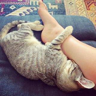 Georgia Hardstark feet photo 2
