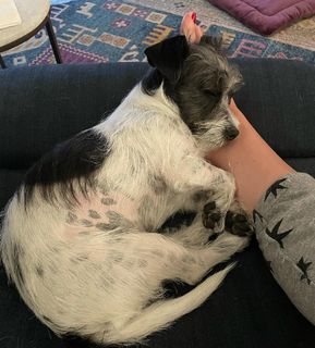 Georgia Hardstark feet photo 19