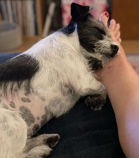 Georgia Hardstark feet photo 18