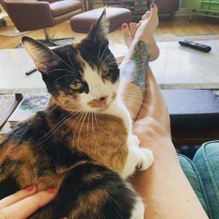 Georgia Hardstark feet photo 16