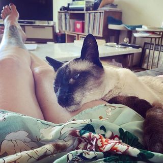 Georgia Hardstark feet photo 15