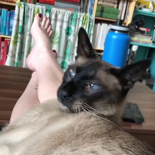 Georgia Hardstark feet photo 16