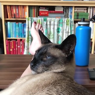 Georgia Hardstark feet photo 14