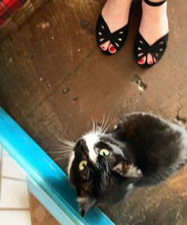 Georgia Hardstark feet photo 11