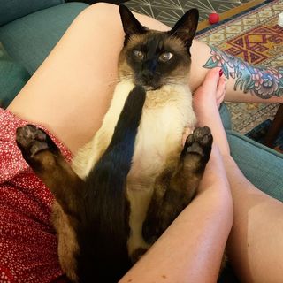 Georgia Hardstark feet photo 8