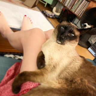 Georgia Hardstark feet photo 7