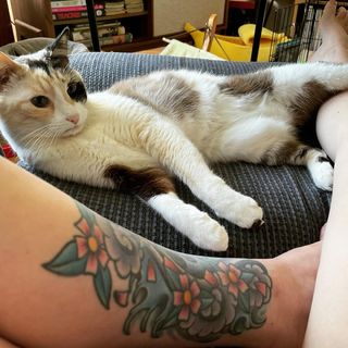 Georgia Hardstark feet photo 1