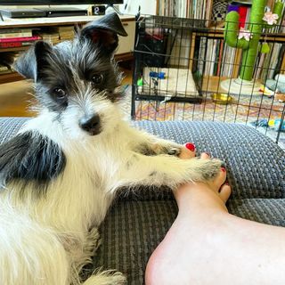 Georgia Hardstark feet photo 19