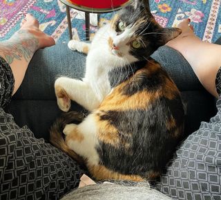 Georgia Hardstark feet photo 18