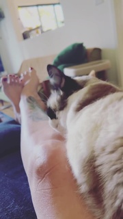 Georgia Hardstark feet photo 17