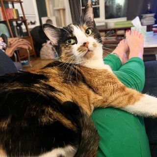 Georgia Hardstark feet photo 15