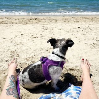 Georgia Hardstark feet photo 11
