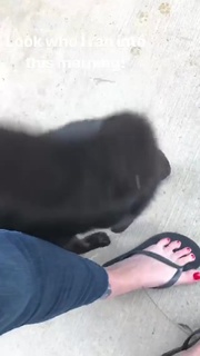 Georgia Hardstark feet photo 5