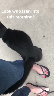 Georgia Hardstark feet photo 4