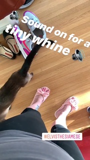 Georgia Hardstark feet photo 1