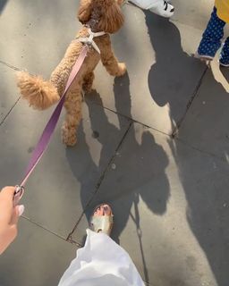 Georgia Meacham feet photo 4