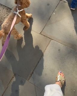 Georgia Meacham feet photo 3